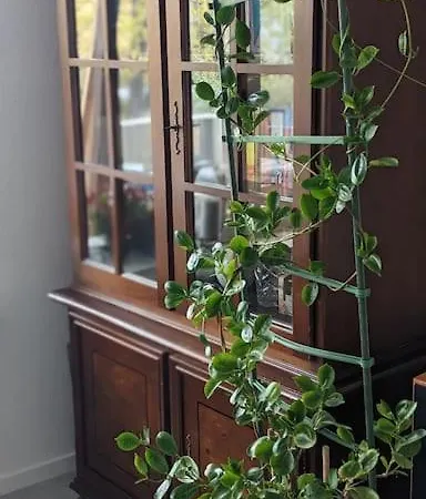 3rooms For Business Or Family Apartment